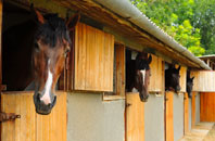 free Woodchester stable construction quotes
